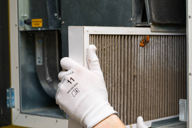 Best Professional Duct Cleaning Services  in San Castle, FL